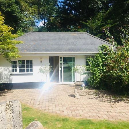 Chadham Pines Cottage Poole Zewnętrze zdjęcie